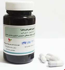 کپسول گیاهی ایارج فیقرا 